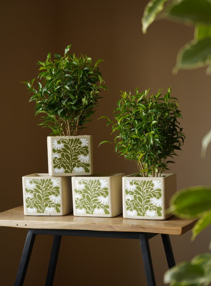 Горщик "Мальви"