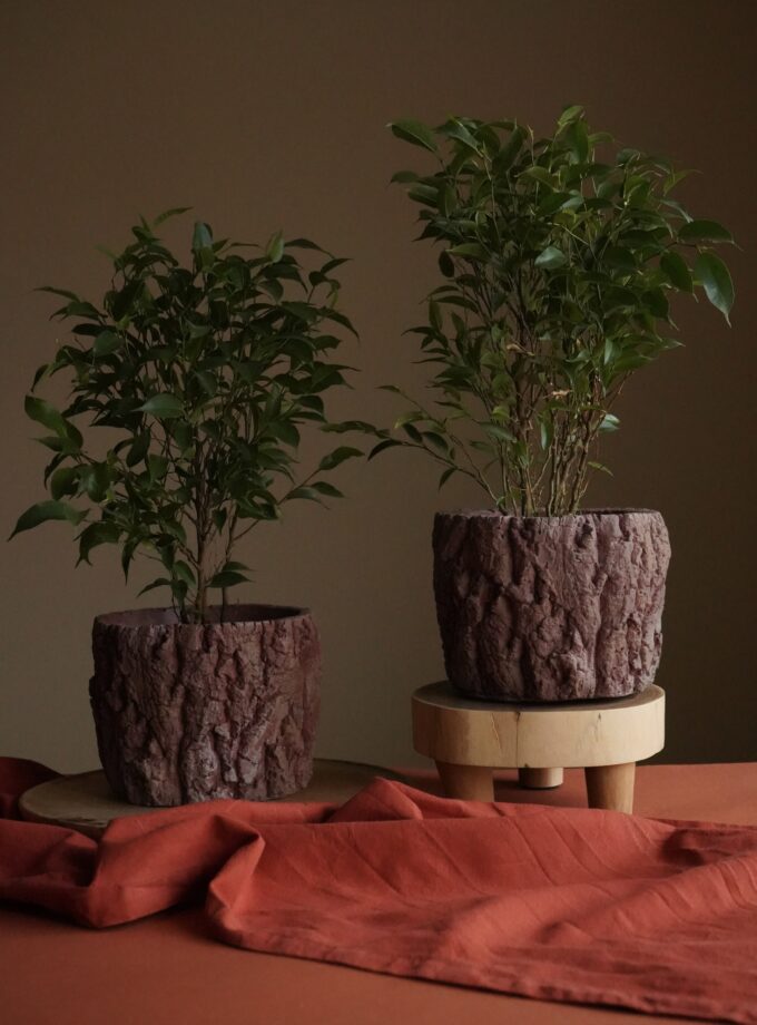 Горщик "Кора"