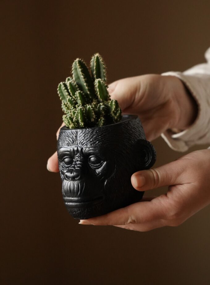 Горщик "Марсель"