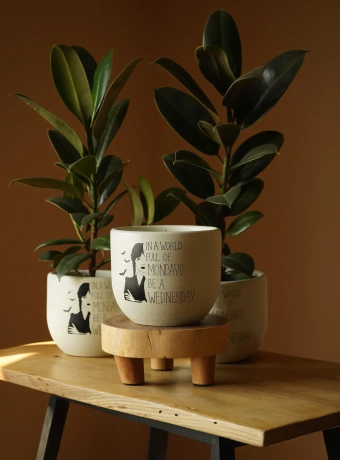 Горщик "Wednesday"