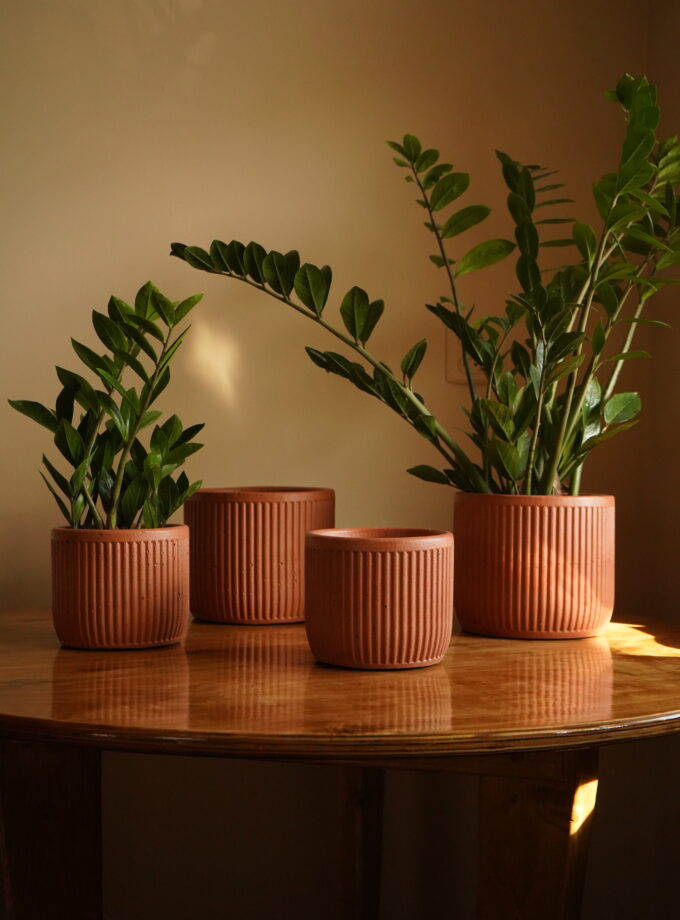 Горщик "Сієна"