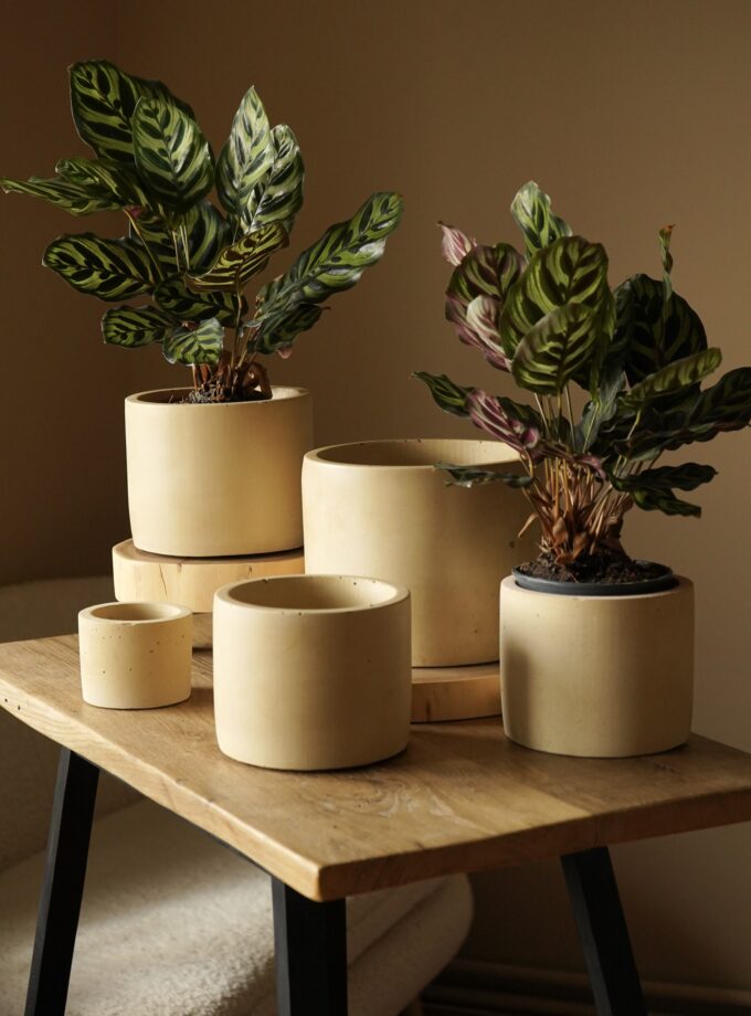 Горщик "Однотонний"