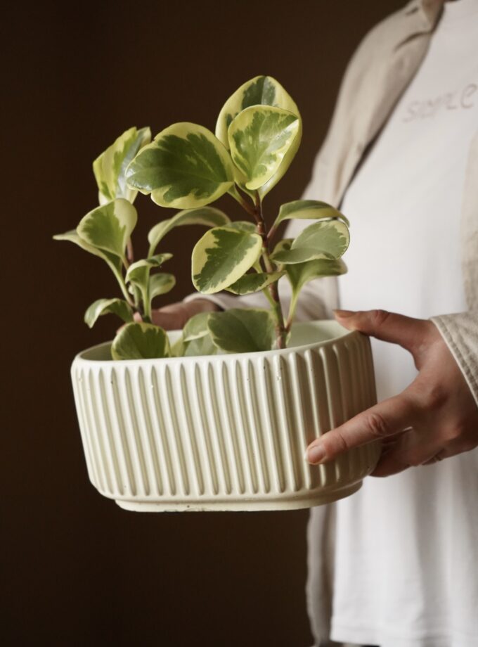 Горщик "Греко"